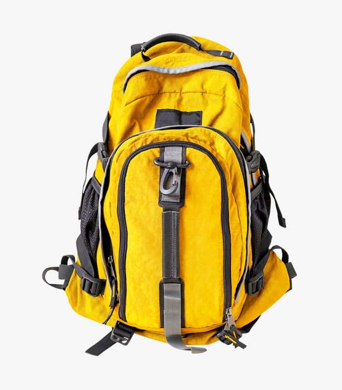 Wanderlust Backpack