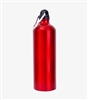 Wanderlust Aluminum Bottle