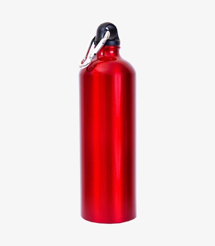Wanderlust Aluminum Bottle